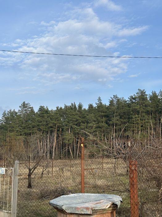 Продам земельну ділянку в Рачках коло лісу