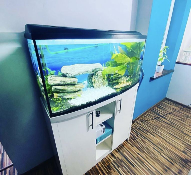 Akwarium soczewkowe 150 litrow
