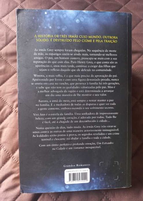 Um Estranho na Cidade - Kristin Hannah