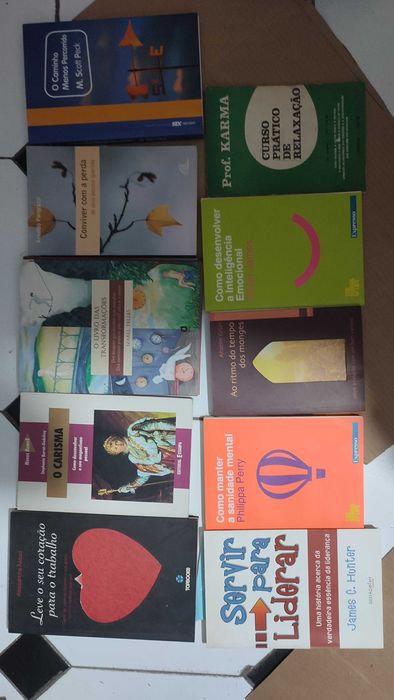 25 Livros de Auto Ajuda e Motivação