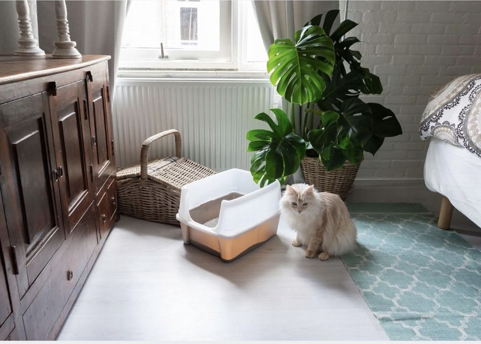 Nowa ‼️ KUWETA • IRIS • OHYAMA 48,5x30,5x38cm