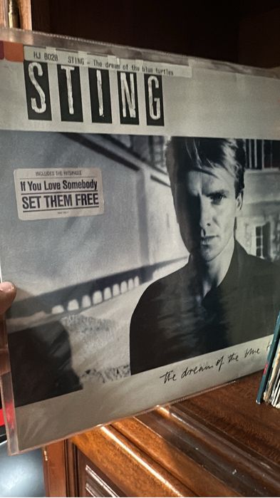 Vinis Antigos - Bandas Iconicas