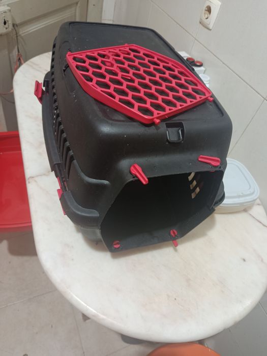 Transportadora de animais