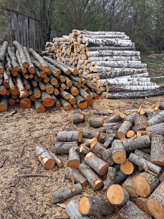Продам дрова київська область