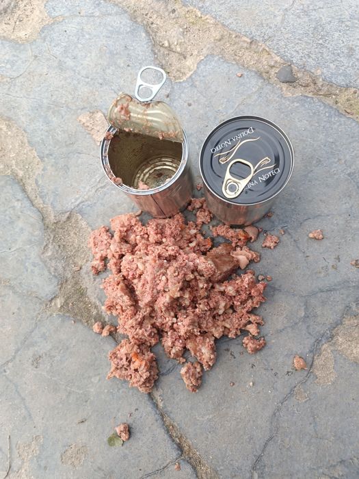 Puszka Rafi Dolina Noteci dla psa 24x400g