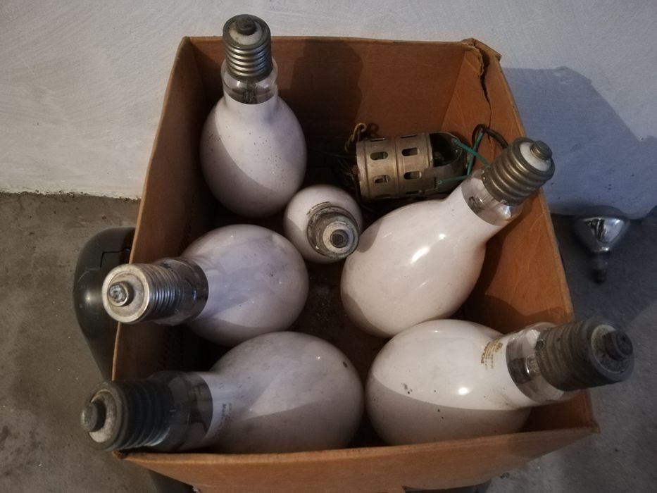 Żarówki sodowe jarzeniowe do tunelu lub szklarni