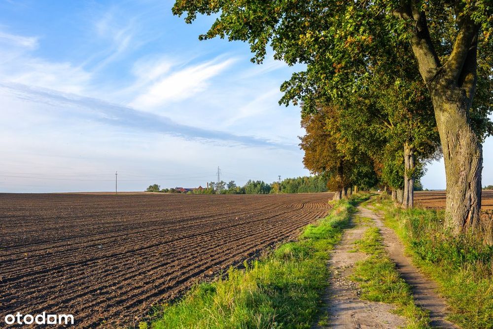 Działka z potencjałem – Sławno | Bobrowiczki
