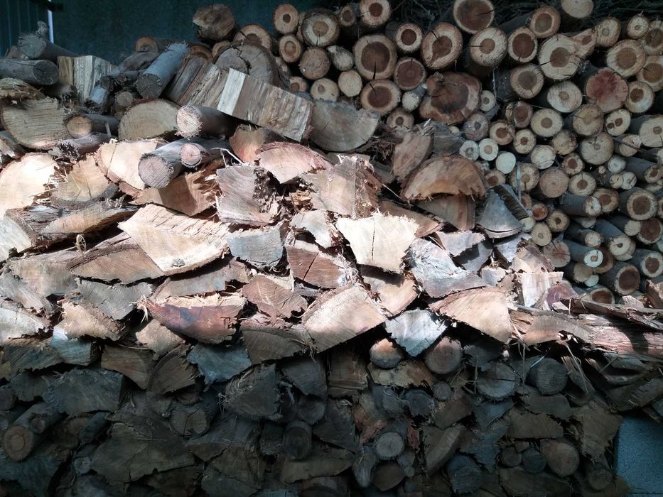 Madeira Eucalipto e Acácia Seca