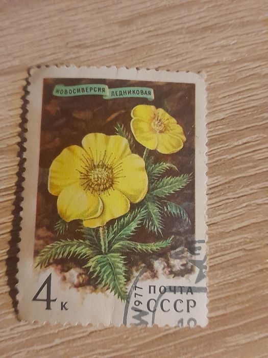 Znaczki pocztowe ZSRR kwiaty 1977/78/81 rok