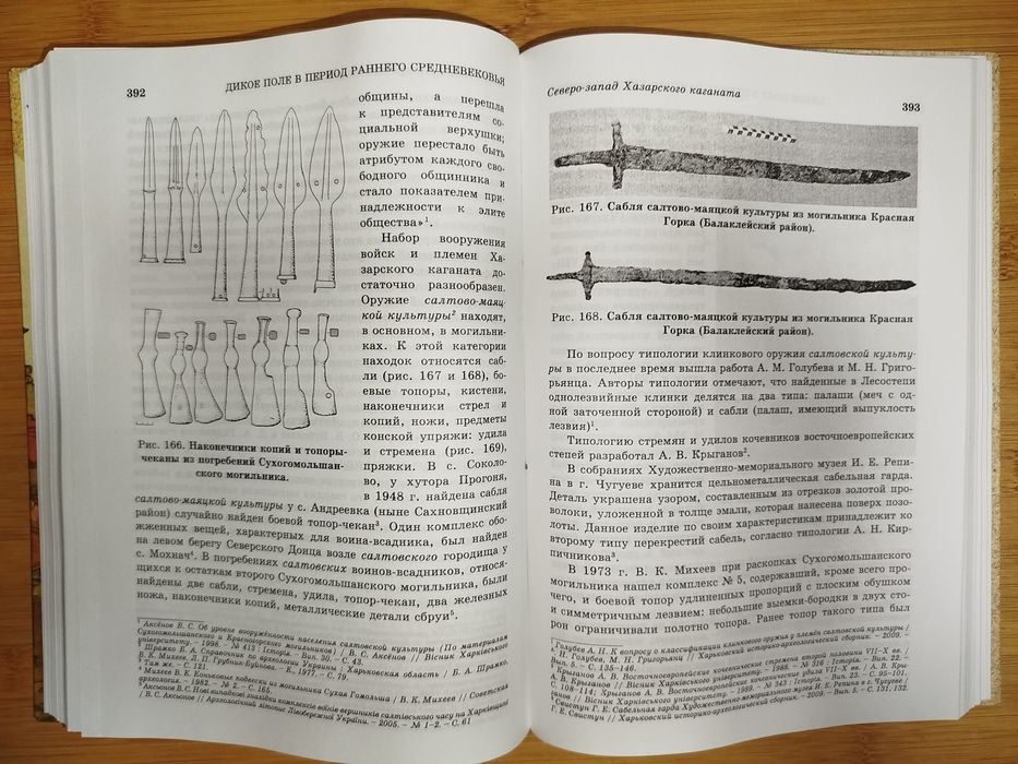 Ю. А. Бутенко. Дикое поле в период раннего средневековья