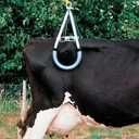 Podnośnik dla krów do bydła chwytak do krów 1200KG