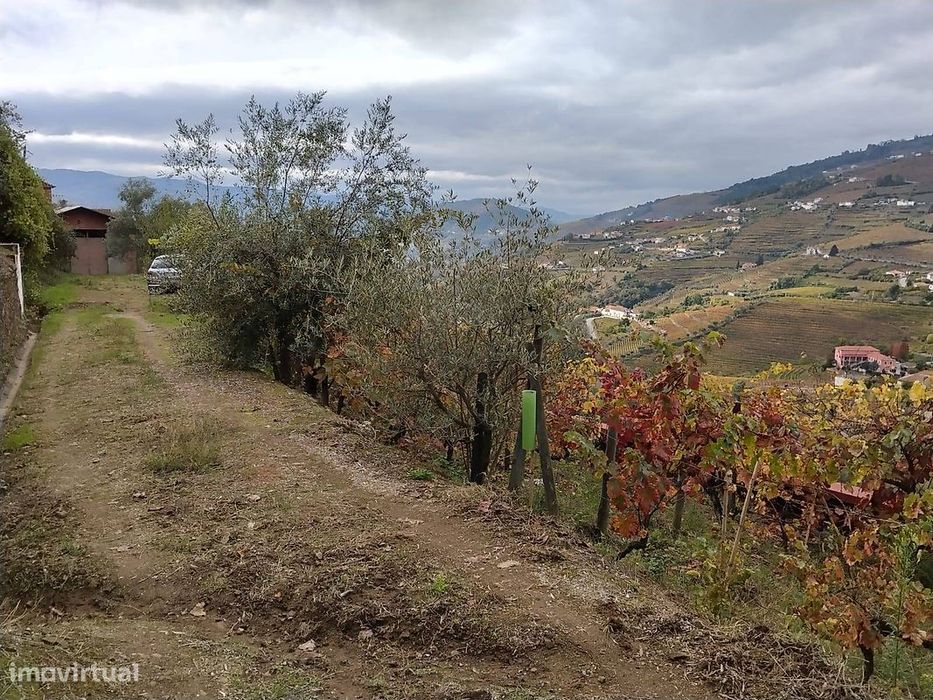 Terreno  para venda