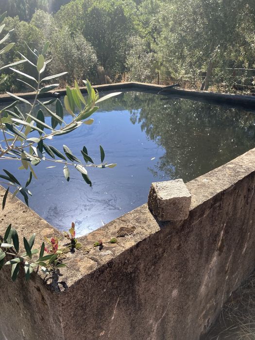 Quinta em S.Juliao