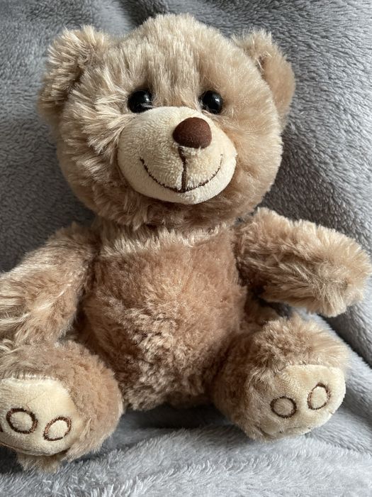 Плюшевый медведь