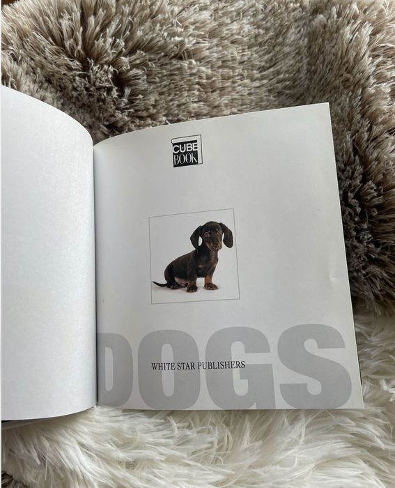 DOGS cube book - livro