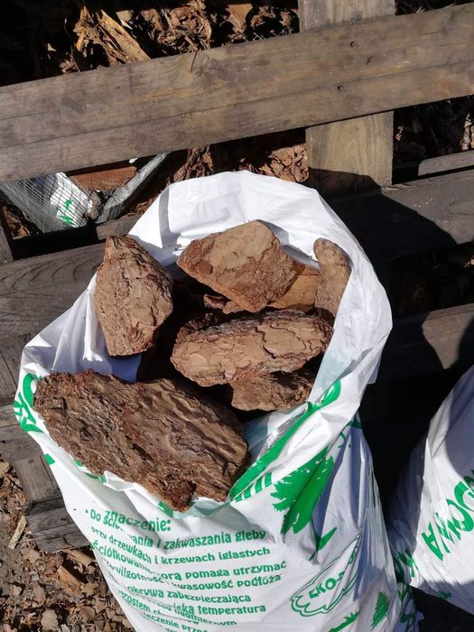 Kora premium srednia gruba dowóz gratis od 30 szt