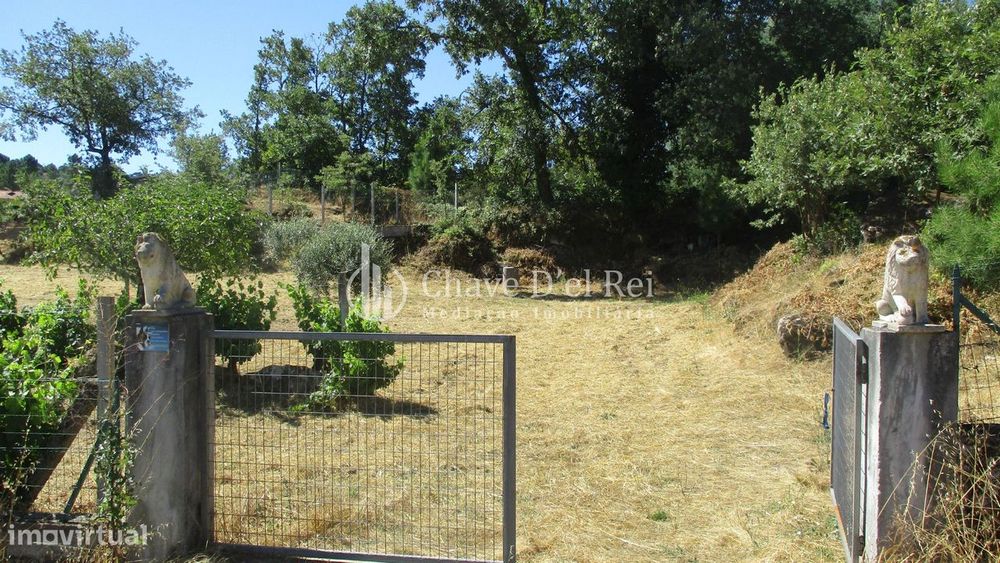 Quintinha  Venda em Freixiosa,Mangualde