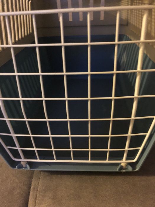 Caixa transportadora animais