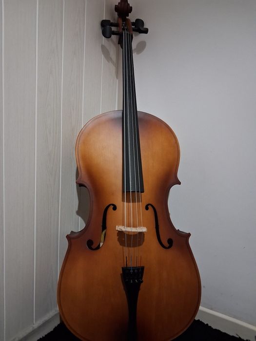 Violoncelo 3/4 com saco