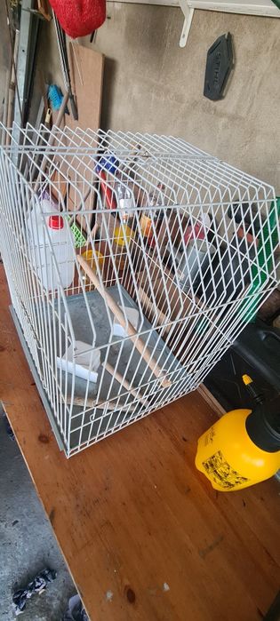 Gaiola usada com alguns acessórios