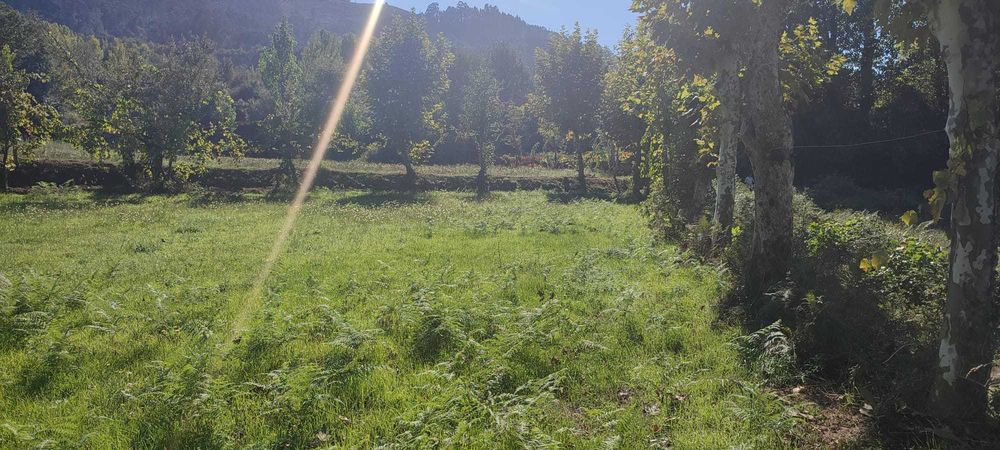 Vendo terreno com 1.074 m² em Souto, Terras de Bouro