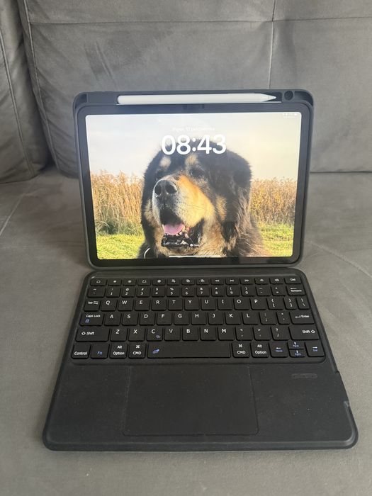 Etui z klawiaturą dux ducis iPad Air 11 M3/M2 5/4 generacji / Pro 11