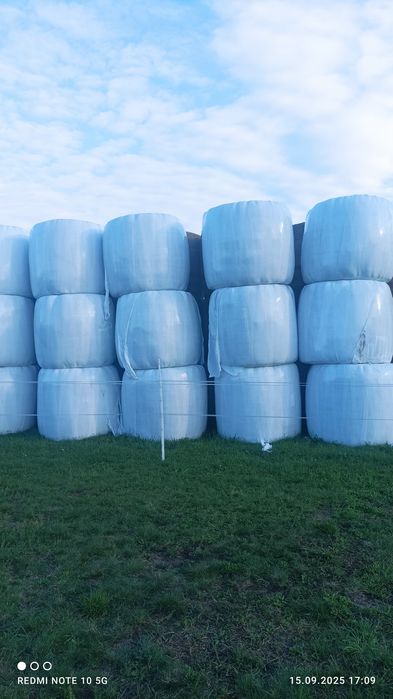 Sprzedam sianokiszonkie.