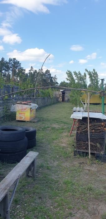 Ділянка 18,5 сот поруч з лісом, пилорама, госп.будівлі,с. Сінгури