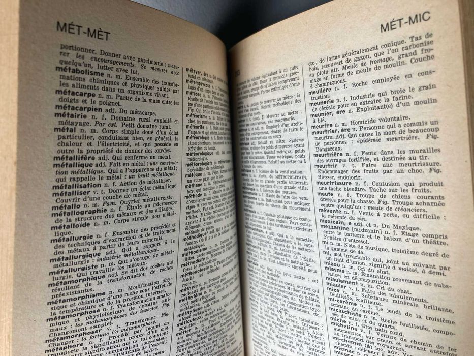 Dicionário Francês Larousse de Poche
