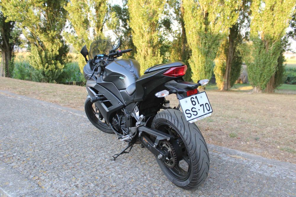 Kawasaki Ninja 300 ABS 2017
