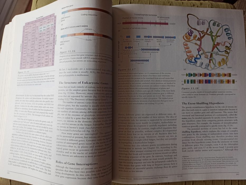 Livro Botany botanica