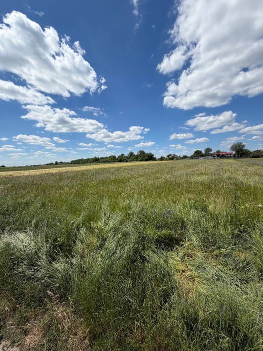 Продам земельну ділянку під забудову в с.Сінгури - Вид 2