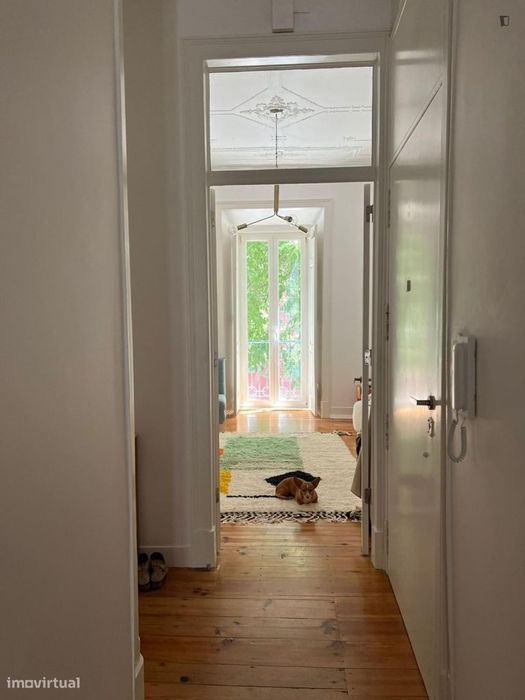 Quarto - localizado em Penha Lisbon