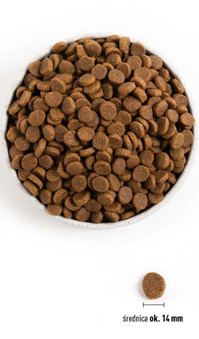 ACANA DOG Senior Dog 11,4 kg promocja