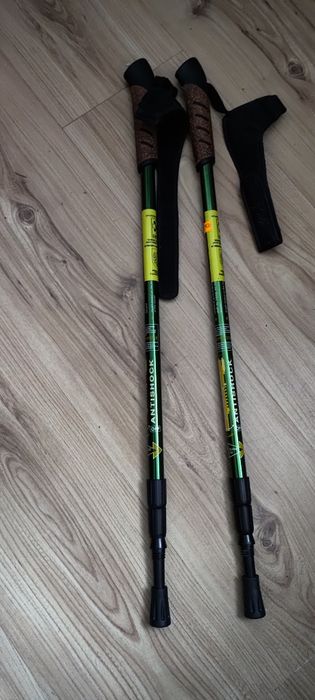 Kije trekkingowe