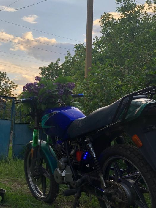 Viper zs 125j на ходу