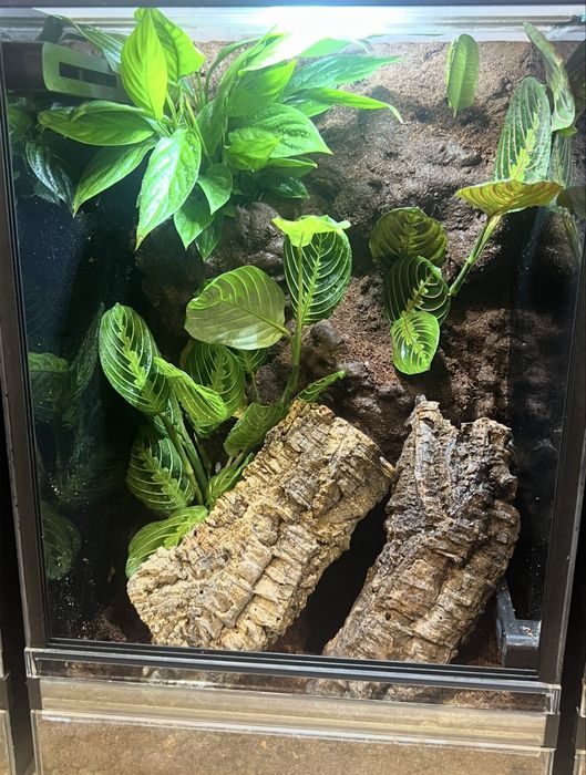 Terrarium 40x40x60 gady płazy