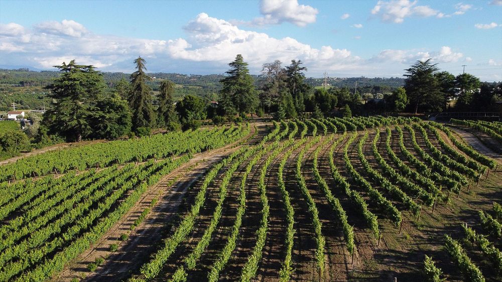 Casa para Férias em Santar !! venha visitar um dos mais bonitos jardins históricos, faça uma pausa com uma prova de vinhos do Dão e relaxe nosso AL