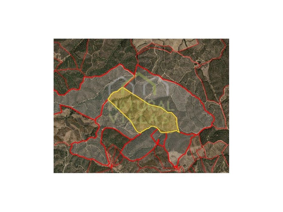 Terreno Rústico de 36,6ha em S. Martinho das Amoreiras, Odemira