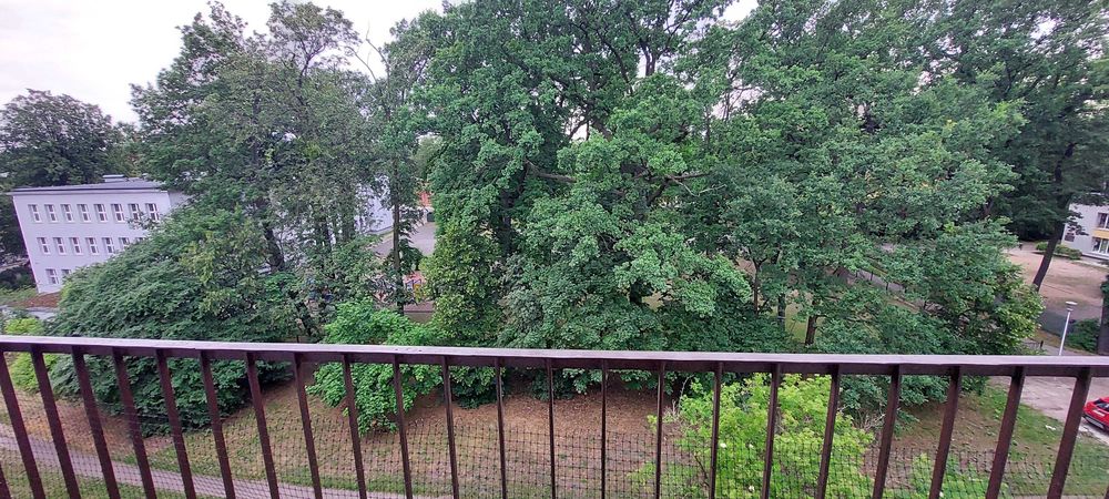 Wynajmę mieszkanie - kawalerka w centrum Łodzi  Księży Młyn ul. Wilcza