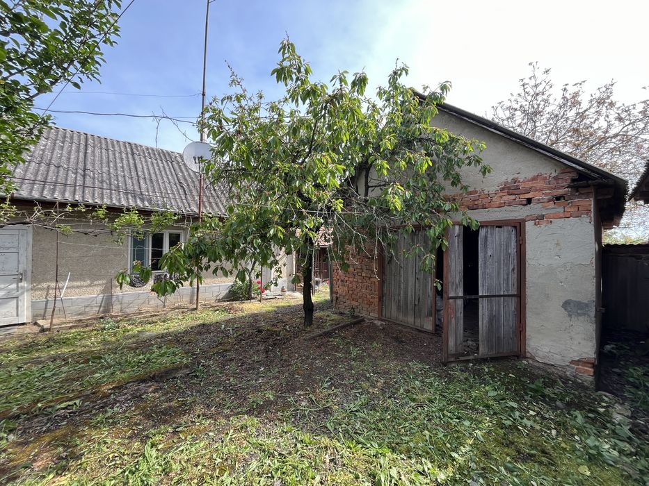 Продам будинок 112 м2 приват ділянка 24 сот Берегівський р-н село Великі Береги