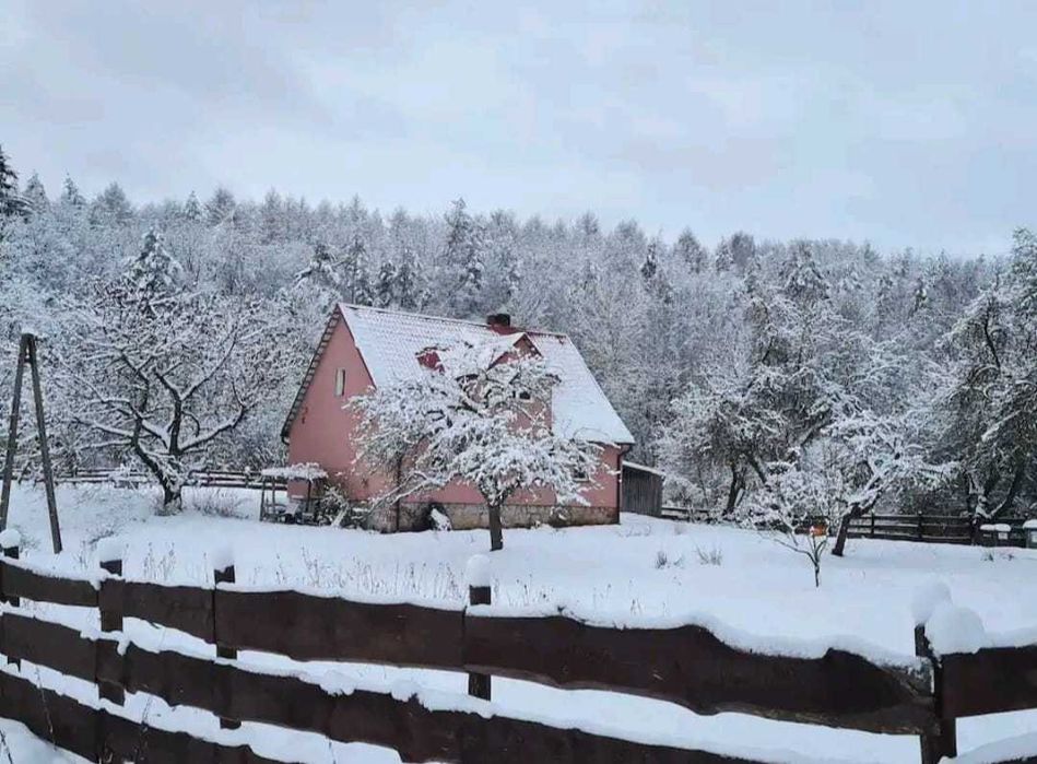 Święta w lesie, 2h od Szczecina. Jelenino Domek nad jeziorem
