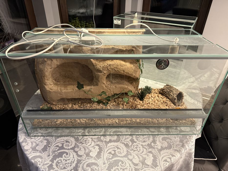 Terrarium z wyposażeniem