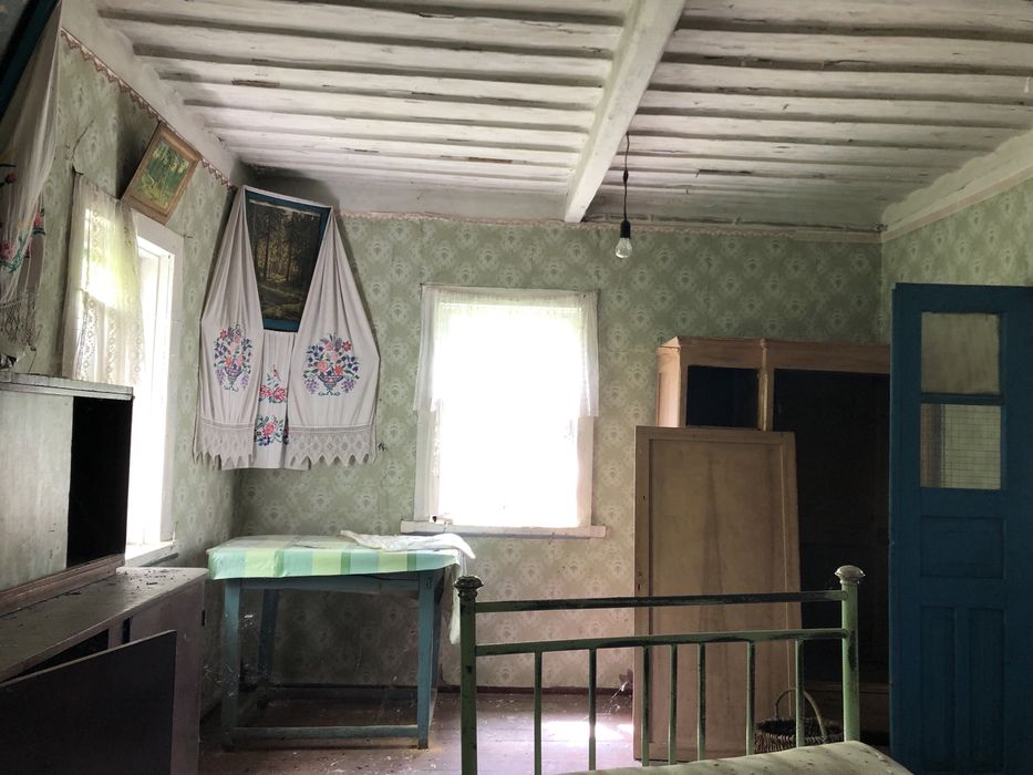 Продам будинок з земельними ділянками в с Євминка.