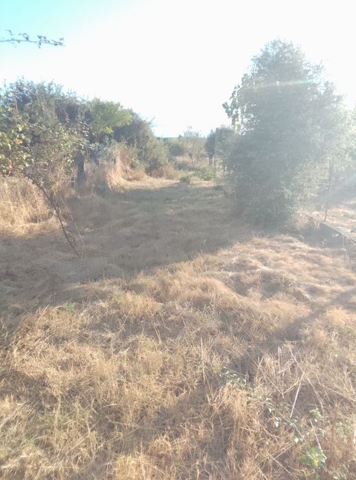 Terreno em Alcains venda urgente