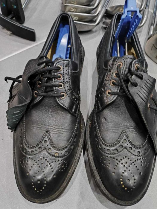 Carrinho de golfe, tacos, bolas, completo profissional, extras