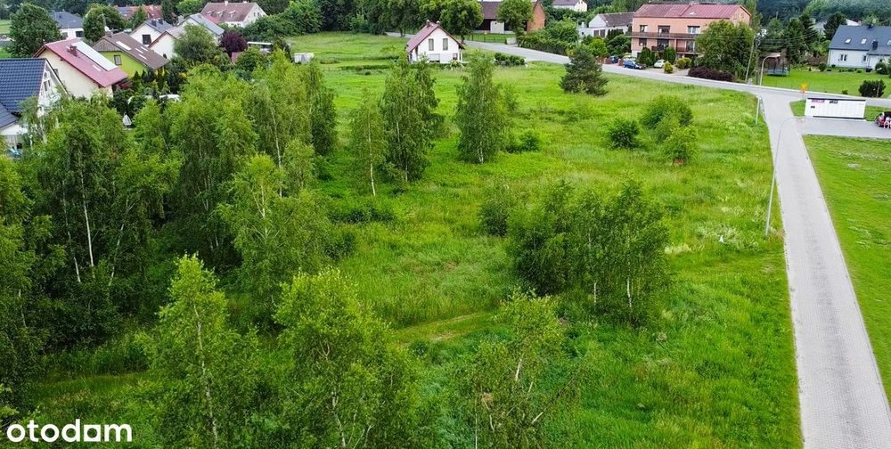 Twój Dom Pod Oleśnicą - Działka 1851 M2 - View 6
