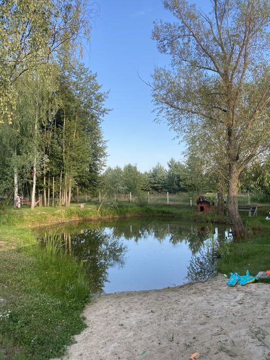 Садиба «Золота Сова»