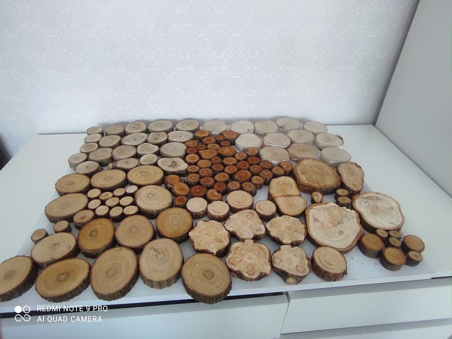 Зрізи дерева для творчості