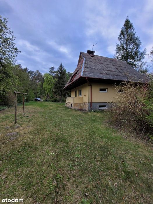 Kazimierz Dolny okolice | cena 690 tys.| duża działka z lasem